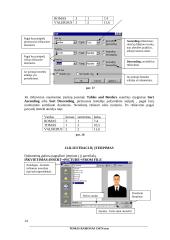 Teksto redaktorius Word 14 puslapis