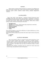 Teksto redaktorius Word 18 puslapis