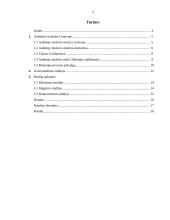 Universitetinių studijų sistema Lietuvoje 3 puslapis