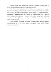 Vincas Kudirka - lietuvių tautinio atgimimo herojus 7 puslapis