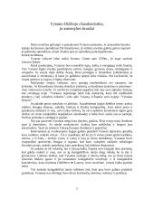 Vytautas Didžiojo asmenybė bei gyvenimas 2 puslapis