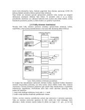 Windows NT ir UNIX failų sistemos 9 puslapis