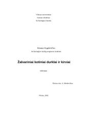 Žalvariniai kotiniai durklai ir kirviai