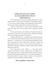 Darbo organizavimo įvertinimas: AB "Rytų skirstomieji tinklai" 4 puslapis