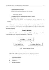 Įmonės analizė: duonos kepimas, platinimas ir pardavimas 10 puslapis
