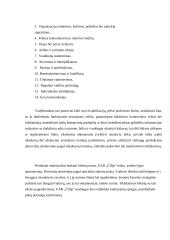 Įmonės analizė: picerija UAB "Čilija" 11 puslapis