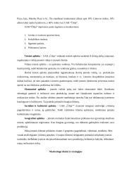 Įmonės analizė: picerija UAB "Čilija" 5 puslapis