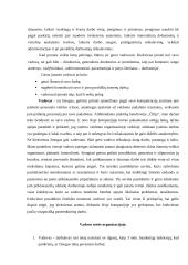 Įmonės analizė: picerija UAB "Čilija" 8 puslapis