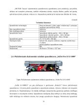 Įmonės analizė: reklamos agentūra UAB "PICO line" 13 puslapis