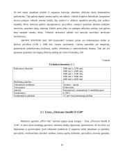 Įmonės analizė: reklamos agentūra UAB "PICO line" 17 puslapis