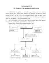 Įmonės analizė: reklamos agentūra UAB "PICO line" 3 puslapis