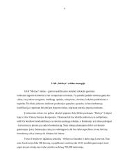 Įmonės analizė: trikotažinių drabužių siuvimas UAB "Merkys" 3 puslapis