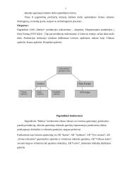 Įmonės analizė: trikotažinių drabužių siuvimas UAB "Merkys" 6 puslapis