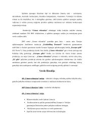 Įmonės analizė: trikotažo gaminiai AB "Utenos trikotažas" 3 puslapis