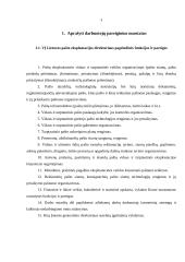 Įmonės analizė: VšĮ "Lietuvos paštas" 2 puslapis