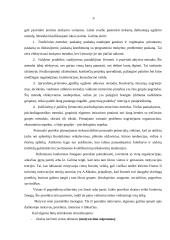 Įmonės analizė: VšĮ "Lietuvos paštas" 8 puslapis