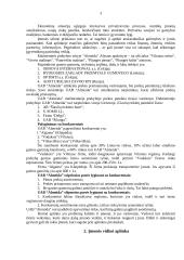 Įmonės aplinkos analizė: gumos gaminiai UAB "Almeida" 3 puslapis