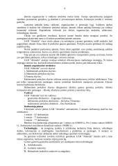 Įmonės aplinkos analizė: gumos gaminiai UAB "Almeida" 4 puslapis