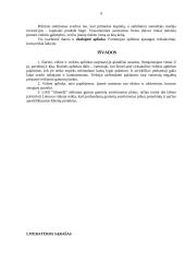 Įmonės aplinkos analizė: gumos gaminiai UAB "Almeida" 6 puslapis