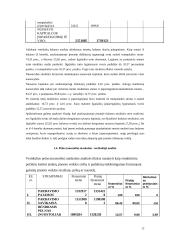 Įmonės finansinė analizė ir skaičiavimai 11 puslapis