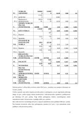 Įmonės finansinė analizė ir skaičiavimai 12 puslapis