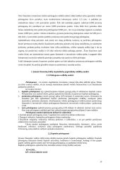 Įmonės finansinė analizė ir skaičiavimai 13 puslapis