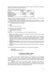 Įmonės finansinė analizė ir skaičiavimai 16 puslapis