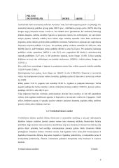 Įmonės finansinė analizė ir skaičiavimai 7 puslapis