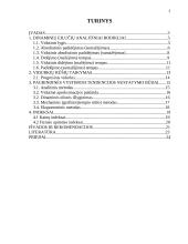 Įmonės finansinė analizė: Kęstučio Nesavo IĮ 2 puslapis