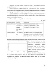 Įmonės finansinė analizė: prekyba buitinės chemijos produktais 11 puslapis