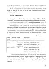 Įmonės finansinė analizė: prekyba buitinės chemijos produktais 13 puslapis