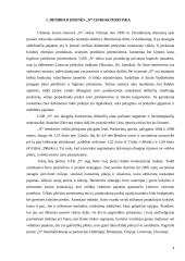 Įmonės finansinė analizė: prekyba buitinės chemijos produktais 3 puslapis