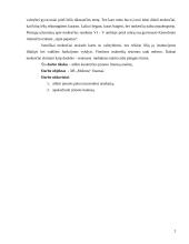 Įmonės finansų analizė: UAB "Molesta" 2 puslapis