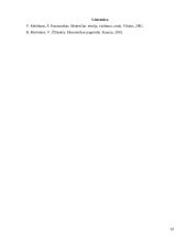 Įmonės finansų analizė: UAB "Molesta" 10 puslapis