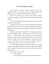 Įmonės įkūrimas ir veikla: AB "Geonafta"