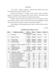 Įmonės rizikos vertinimas: medienos perdirbimo ir pardavimo įmonė UAB "Eglė" 2 puslapis