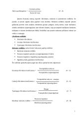 Įmonės rizikos vertinimas: medienos perdirbimo ir pardavimo įmonė UAB "Eglė" 11 puslapis