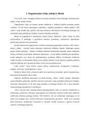 Įmonės strateginis planas: UAB "Alna" 3 puslapis