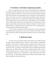 Įmonės strateginis planas: UAB "Alna" 8 puslapis