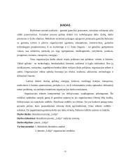 Įmonės strateginis planavimas: UAB "Lelija" 2 puslapis