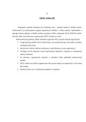 Įmonės strateginis planavimas: UAB "Lelija" 6 puslapis