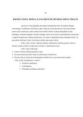 Įmonės strateginis planavimas: UAB "Lelija" 10 puslapis