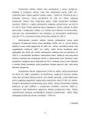 Įmonės veiklos ataskaita:  "Namų jaukumas" 4 puslapis