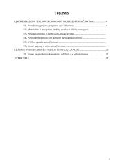 Įmonės periodo ekonominių rodiklių apskaičiavimas 2 puslapis