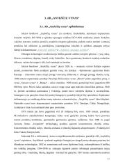 Investicinis portfelis - kelios lietuviškos įmonės 11 puslapis