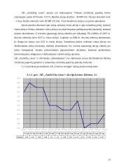 Investicinis portfelis - kelios lietuviškos įmonės 13 puslapis
