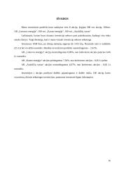 Investicinis portfelis - kelios lietuviškos įmonės 16 puslapis