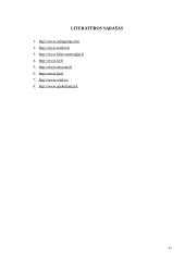 Investicinis portfelis - kelios lietuviškos įmonės 17 puslapis