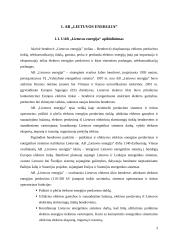 Investicinis portfelis - kelios lietuviškos įmonės 3 puslapis