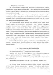 Investicinis portfelis - kelios lietuviškos įmonės 4 puslapis